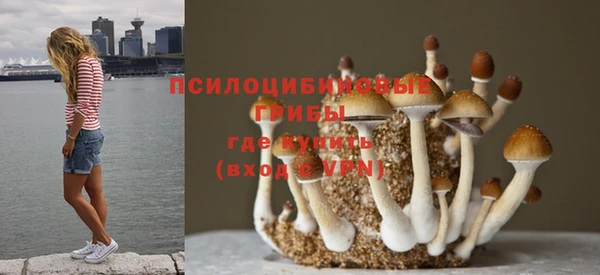 трава Богданович