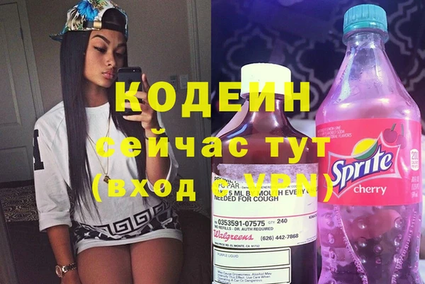 крисы Бородино