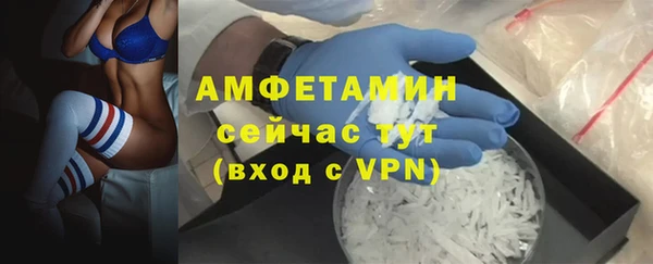 трава Богданович