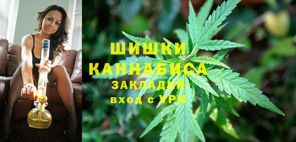 трава Богданович