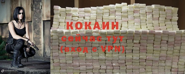 mdpv Богородицк