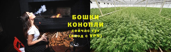 трава Богданович